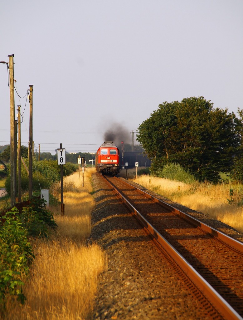 DB 233 233-6 mit Gz nach Esbjerg festgehalten an einem der vielen Bahnübergänge zwischen Jübek und Sollbrück. 17.07.14