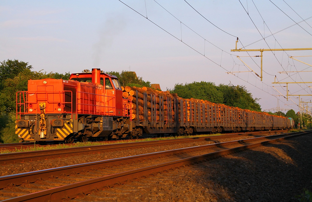 Der eigentliche Grund des Aufenthaltes in Jübek war der Holzzug aus Bebra, der hier kurz vor seiner Abfahrt von der eigens mitgebrachten ATLD/HLG 1275 120-4(ex 2150.902-1 der LTE, Unt/BCSX/24.08.11)von Gleis 3 auf Gleis 1 rangiert wird. Jübek 26.05.2014