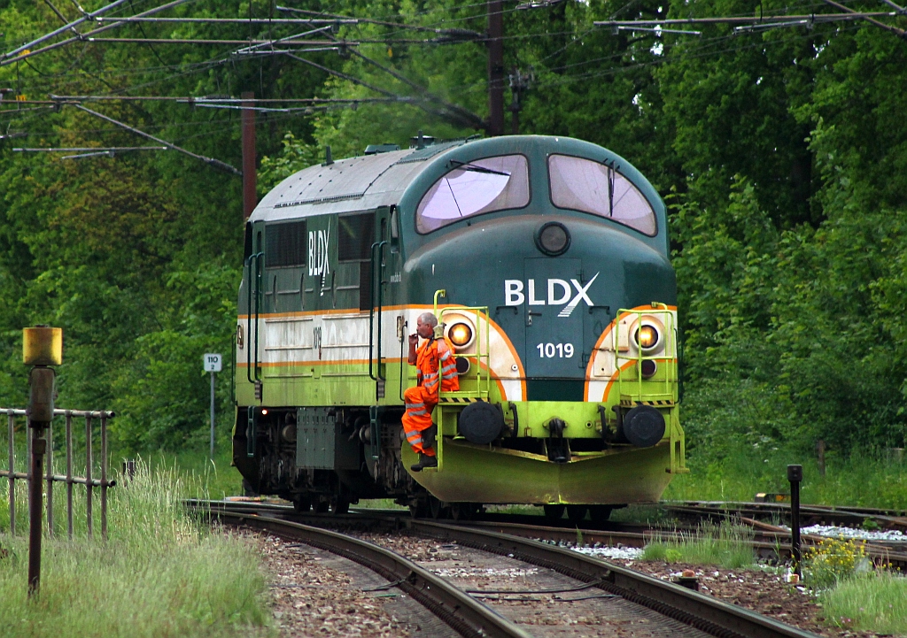Gut getarnt...BLDX MX 1019 beim rangieren/umfahren eines abgestellten Gz. Padborg 01.06.2013