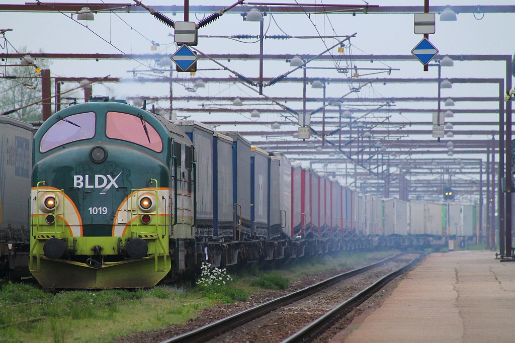 Hier zieht die BLDX 1019  blau qualmend  den Lauritzen-KLV nach Verona aus dem TXL Stützpunkt(Be und Entladung der Waggons). Padborg 01.06.2013