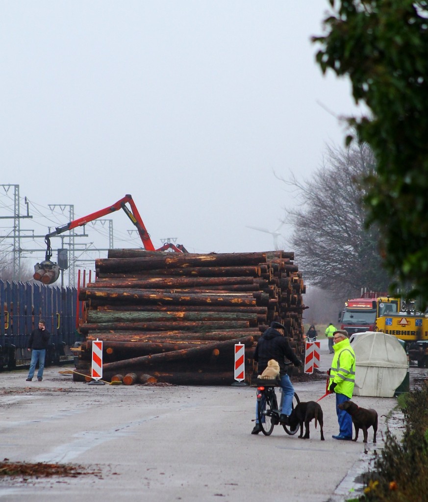In der Mitte der Ladestrasse lagen einige Tonnen an Holz die von einem LKW auf die Wagen verladen wurden, hinter dem Holzstapel standen noch zwei LKW's die am verladen waren. Jübek 09.12.2013