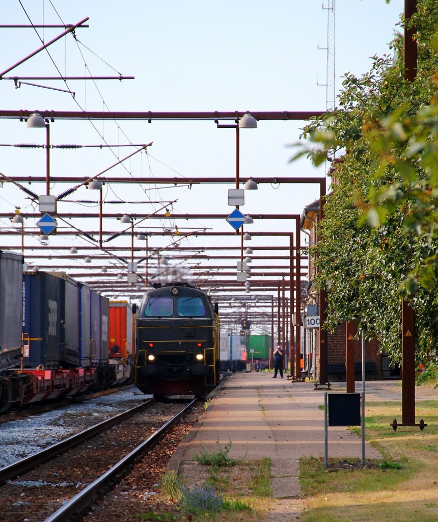 Nachschuss auf die BLSR TMZ 1419(9174 001 1419-1)die hier am Bhf Padborg vorbei dieselt und wenig später mit ihrem Güterzug diesen wieder verlässt. 08.08.2014