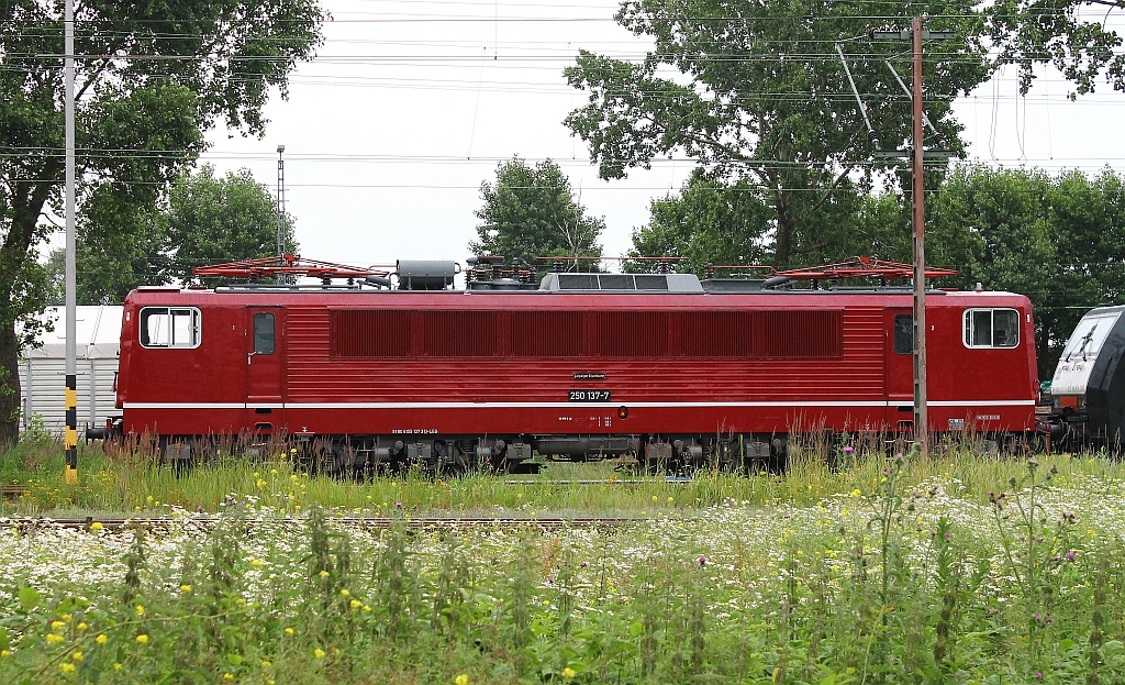  The Lady in Red  LEG 250 137-7/155 137-3 stand ebenfalls abgestellt in HH-Hohe Schaar(Aufnahme entstand von einem legalen Parkplatz). 14.07.2013