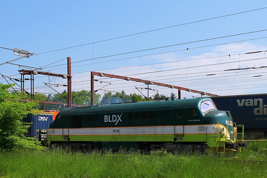 Überraschend schlich sich die bei BLDX eingestellte MX 1019 durch den Gbf Padborg. 01.06.2013