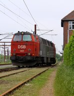 Von der Museums zur Linienlok mutiert zeigt sich seit Wochen die MZ 1401(I)im Güterzug und Verschubdienst zwischen Padborg und Taulov/DK.