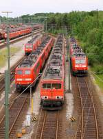 Blick auf die E-Lok Abstellung im Gbf Maschen wo die Baureihen 145,151,152,155 und 189 abgestellt werde. 29.05.2014
