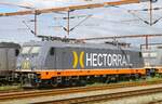 Hectorrail 241.014, die mit den 4 Stromabnehmern. Sie ist die ehemalige MRCE/Dispolok 185 571, die aber nicht im Schwedenverkehr eingesetzt werden kann, Pattburg /Padborg 16.08.2023