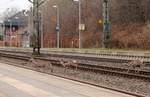 Direkt nach einem Gz kamen die drei  Gleislatscher  wieder quer durch den Bahnhof über die Gleise gelaufen...Schleswig 14.04.2013