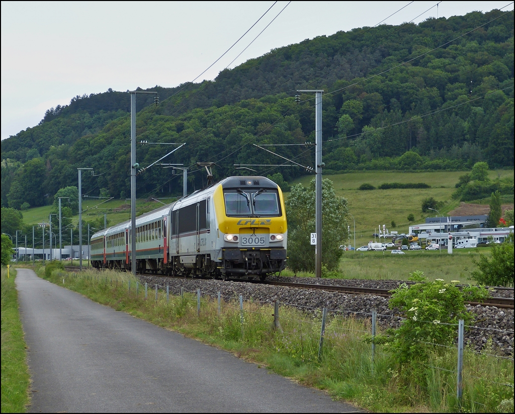 . Er hat nicht nur Insekten fotografiert - Eine 3000er lasse ich mir doch auch nicht entgehen und so mussten die Fauna etwas warten, als der versptete IR 111 Liers - Luxembourg am 16.06.2013 in der Nhe von Lintgen durch das Alzettetal brauste. (Hans)