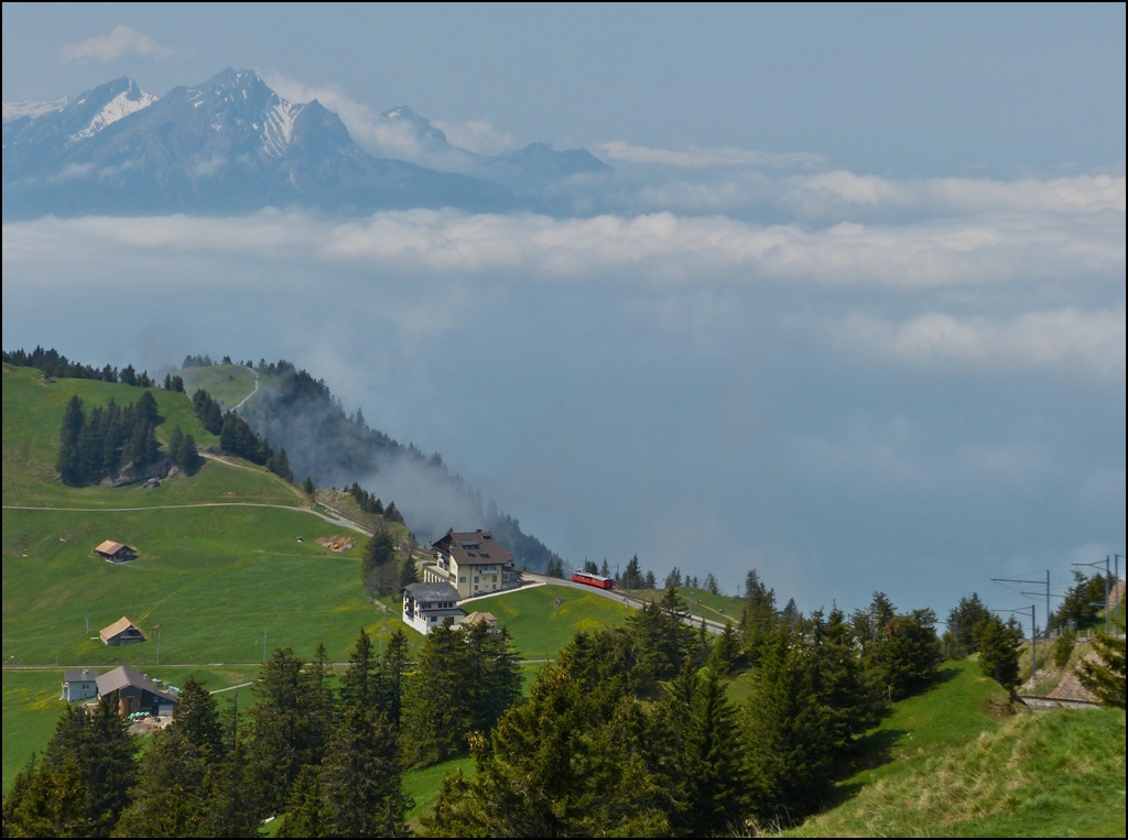 . Nur der Pilatus schaut raus - Am 24.05.2012 lag der Vierwaldstttersee unter einer geschlossenen Wolkendecke, als eine Rigibahn die Haltestelle Rigi Staffel soeben verlassen hatte und den Abstieg nach Vitznau in Angriff nahm. (Jeanny) 