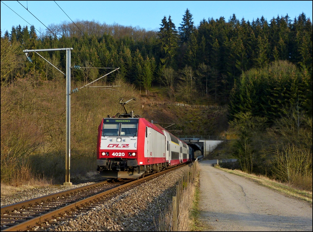 . Tunnelblick - Im besten Abendlicht des 20.03.2012 hat die 4020 mit dem RE 3766 Luxembourg - Troisvierges den Tunnel Lellingen verlassen und fhrt dem Bahnhof Wilwerwiltz entgegen. (Jeanny)