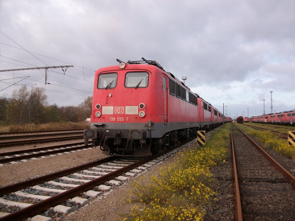 139 555 vor einer Reihe abgestellter 140er und 155er am 13.November 2010 in Rostock Seehafen.