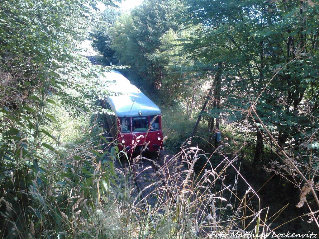 172 132 & 172 171 beim Einfahrtssignal & Viadukt der Ehemaligen Kleinbahnstrecke Putbus-Altefhr am 28.7.13