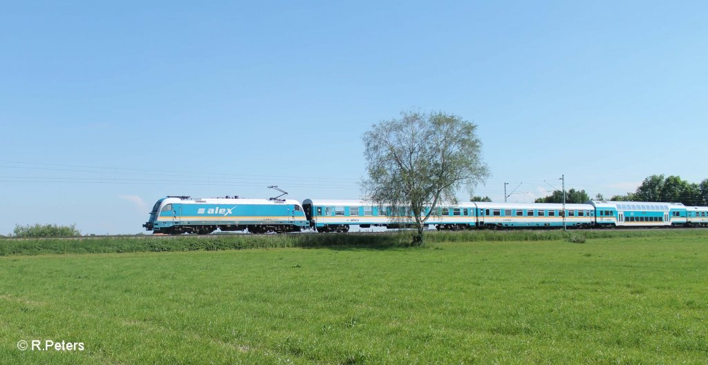 183 004 mit dem ALX84112 Mnchen - Hof bei Pulling bei Freising. 08.06.13