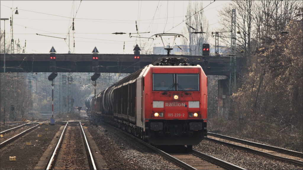 185 229 am 12.03.11 in Bonn Beuel