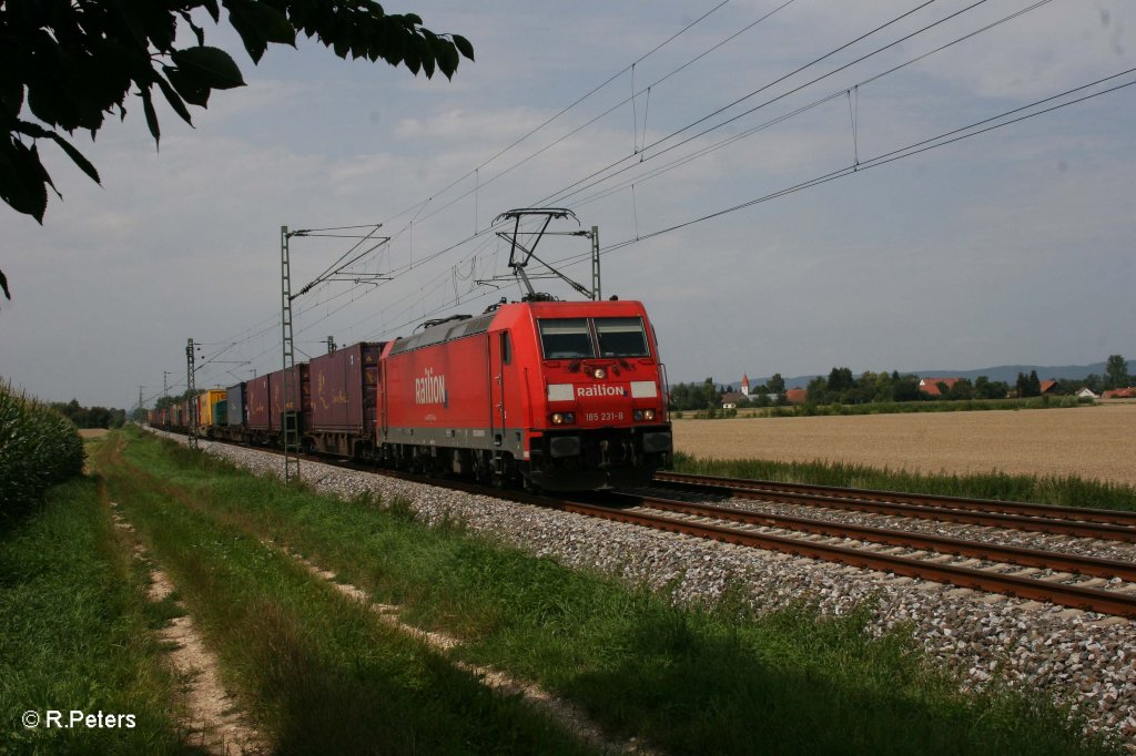 185 231-8 mit Containerzug bei Moosham. 03.08.11