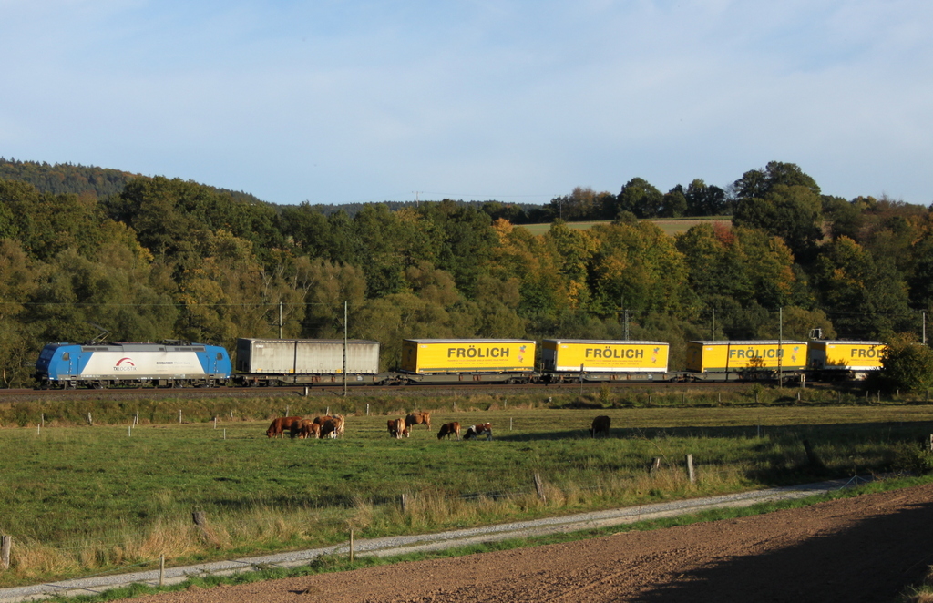 185 513  TXL und Bombardier Traxx Care  mit Gterzug am 01.10.12 bei Hermannspiegel