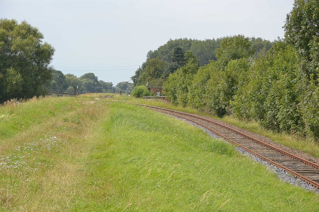 21.08.2011 Fahrenholz