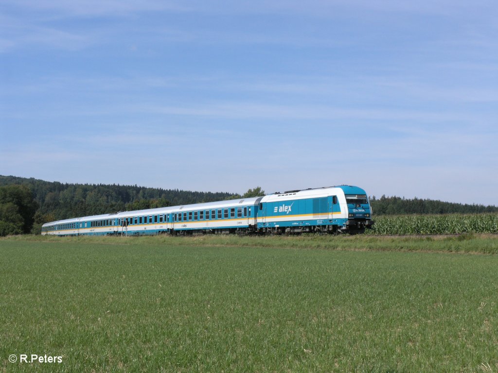 223 061 zieht bei Oberteich den ALX37983 nach Mnchen. 15.08.09
