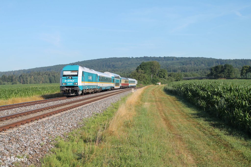 223 062 mit dem ALX84109 Hof nach Mnchen bei Oberteich. 01.08.13