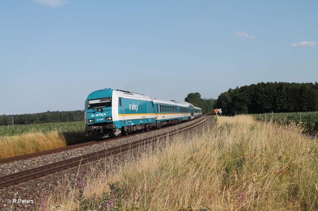 223 065 mit dem ALX84110 Mnchen - Hof bei Oberteich. 28.07.13