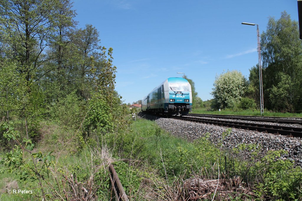 223 067 mit dem ALX84113 Hof - Mnchen in Wiesau/Oberpfalz. 15.05.13