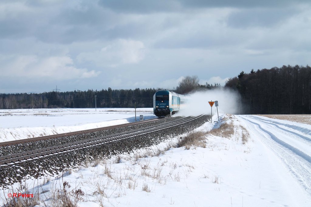 223 068 mit ALX84106 Mnchen - Hof bei Oberteich. 20.02.13