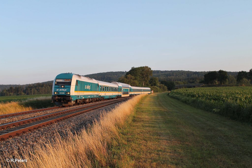 223 069 mit dem ALX84107 Hof - Mnchen bei Oberteich. 19.07.13