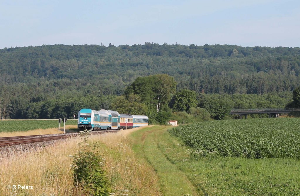 223 069 mit dem ALX84109 Hof - Mnchen bei Oberteich. 17.07.13