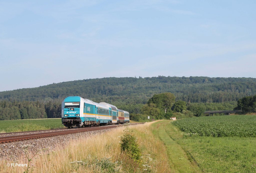 223 069 mit dem ALX84109 Hof - Mnchen bei Oberteich. 17.07.13