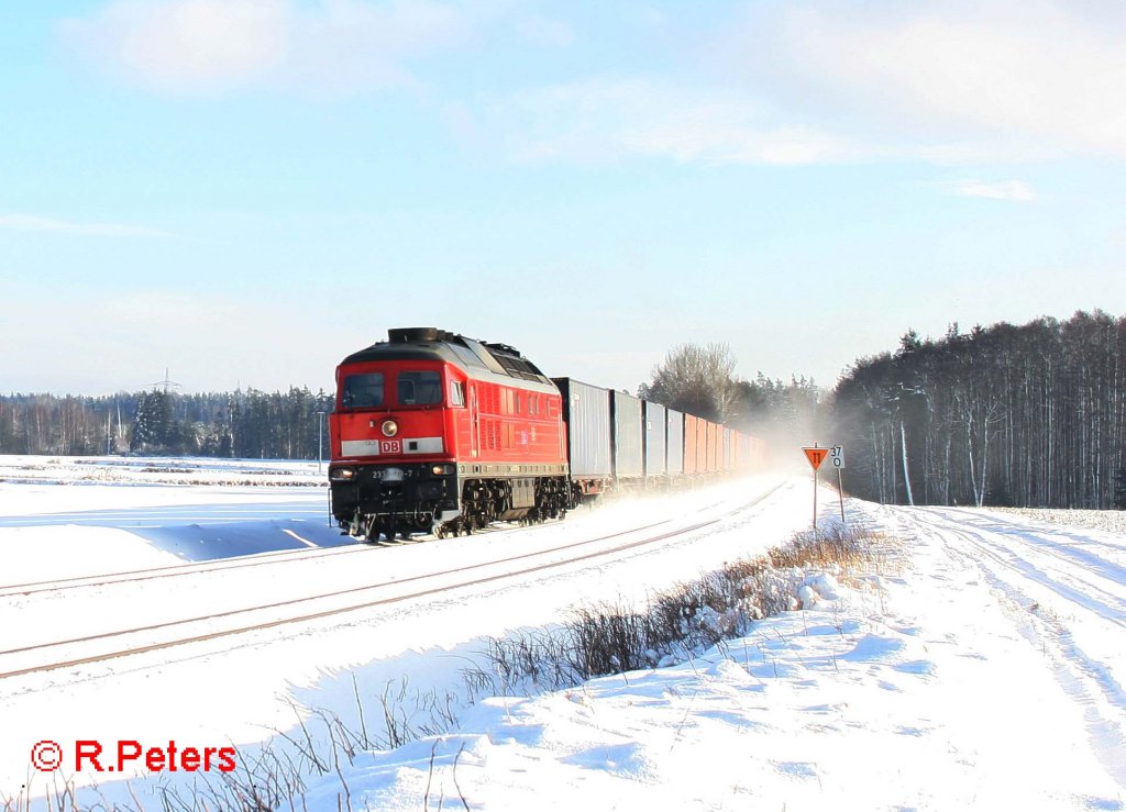 223 478-7 mit dem 49351 bei Oberteich. 07.12.12