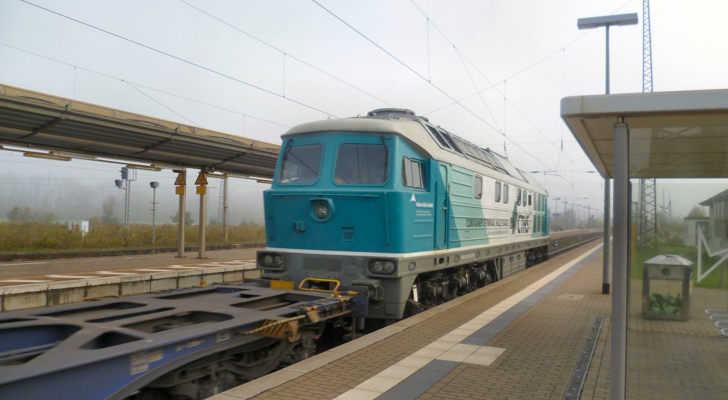 232 002-8 der Hafenbahn in Halle (S) zieht einen leeren Containerzug vom G�terverladebahnhof Erfurt Vieselbach zur�ck nach Halle, durch den Naumburger Hbf; 29.09.2011