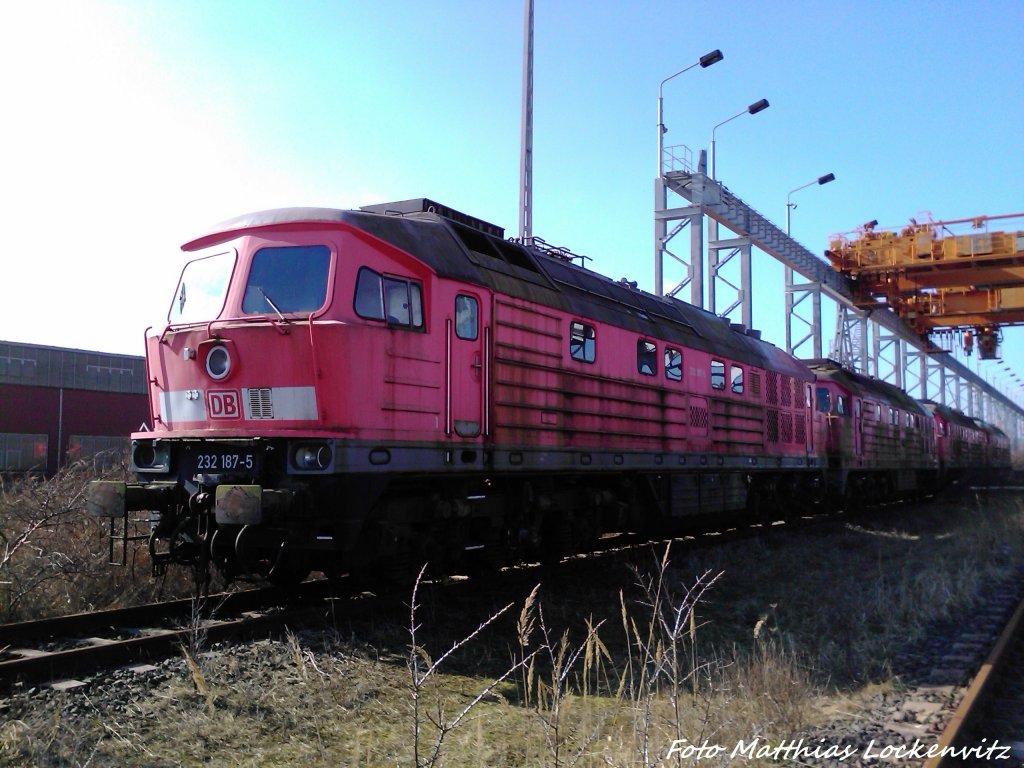 232 187-5 (BW Halle) in Mukran am 4.3.13