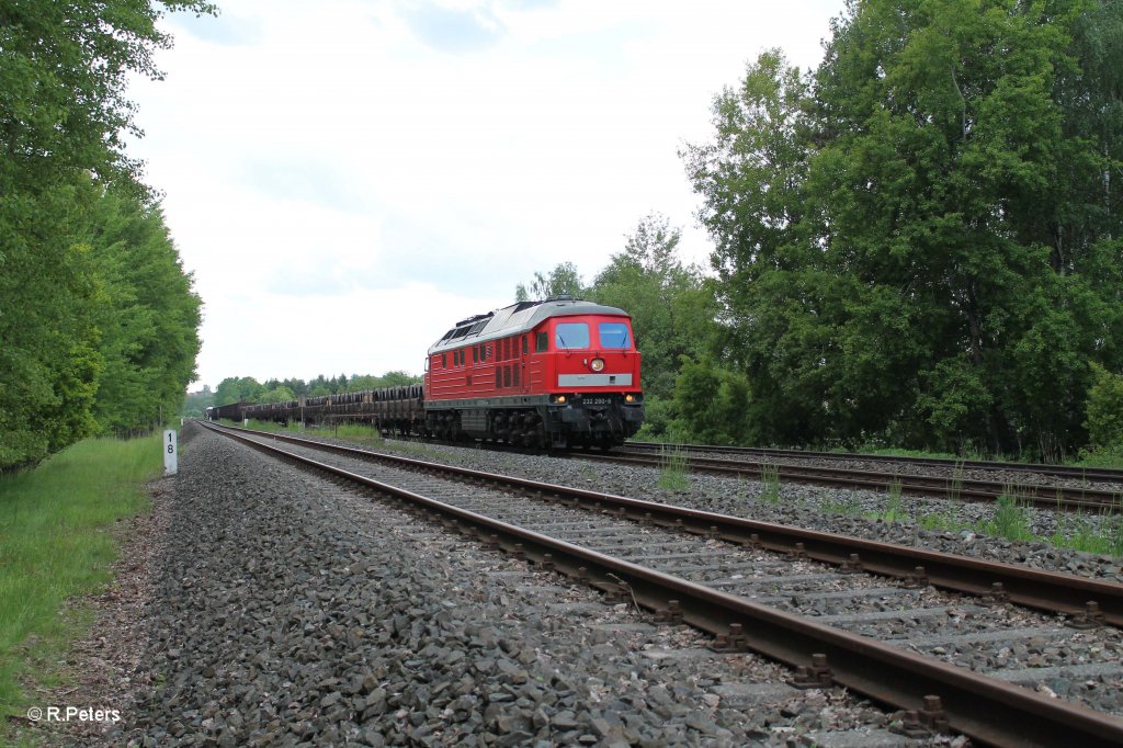 232 280-9 mit dem umgeleiteten 45365 Nrnberg - Cheb bei Schnfeld. 06.06.13