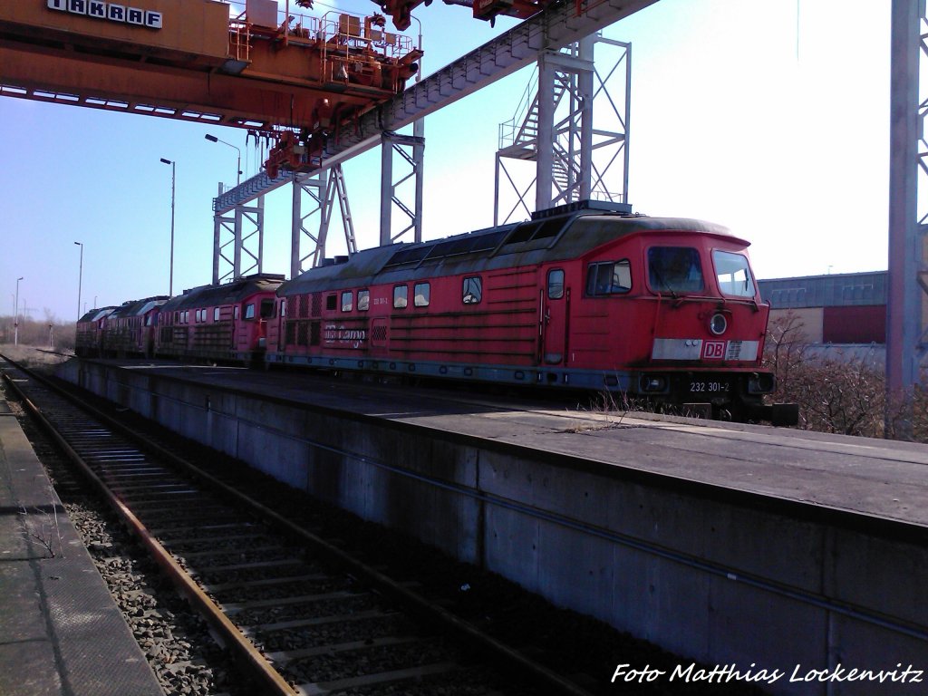 232 301-2 (BW Halle / ex BW Rostock Seehafen) + 3 Weitere 232er in Mukran am 4.3.13