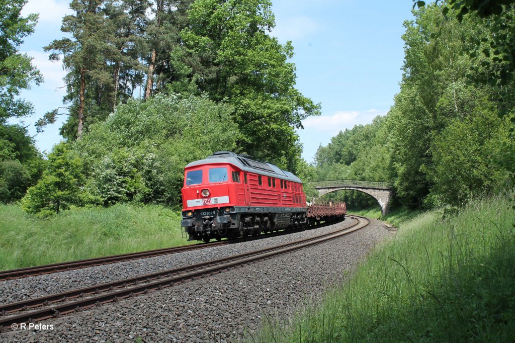 232 601-5 mit Langschienenzug in der Kurve bei Schnfeld. 13.06.13