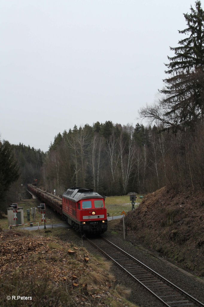 232 618-9 mit Langschienenzug bei Elisenfels. 05.02.13