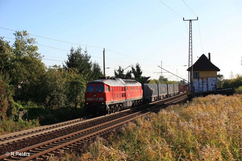 233 127-0 mit einem gemischten Gterzug aus Polen nach Seddin bei Frankfurt/Oder Nuhnen. 06.10.11