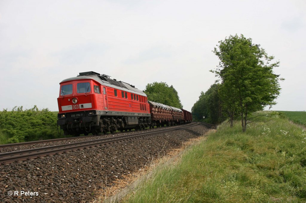 233 176-7 mit dem 51683 Zwickau - Nrnberg bei Waldershof. 31.05.12