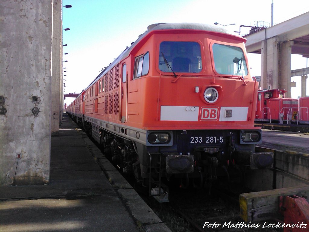 233 281-5 (BW Halle) in Mukran am 4.3.13