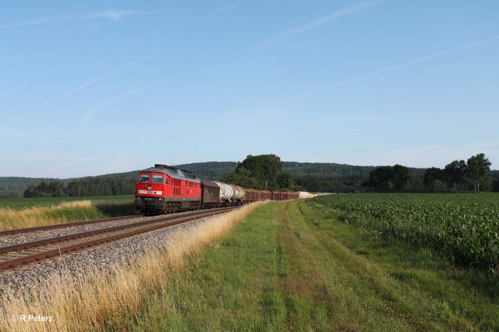 233 322-7 mit dem umgeleiteten 45360 Cheb - Nrnberg bei Oberteich. 17.07.13