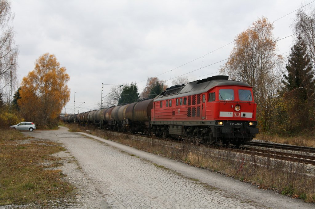 233 486-0 wurde am 06.11.10 in Poing fotografiert. Sie befrderte einen leeren ler Richtung Mhldorf.