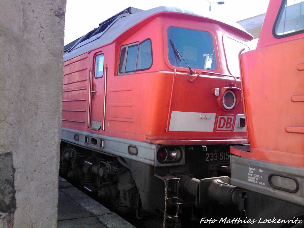 233 515-6 (BW Halle) in Mukran am 4.3.13