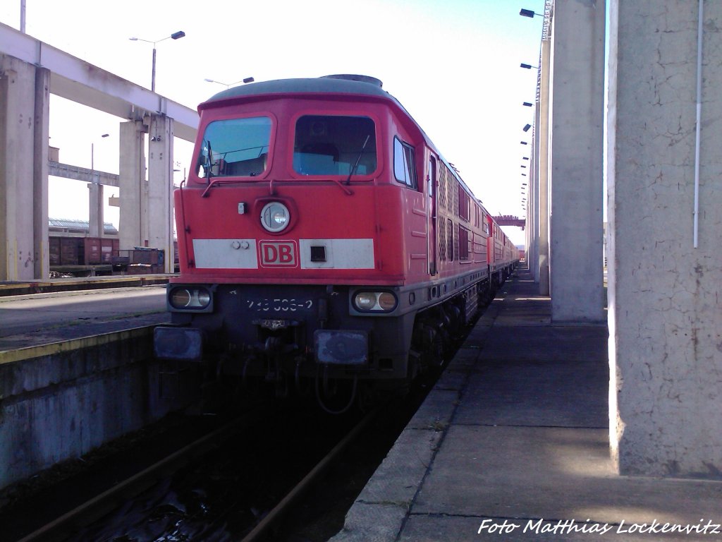 233 536-2 (BW Halle) in Mukran am 4.3.13