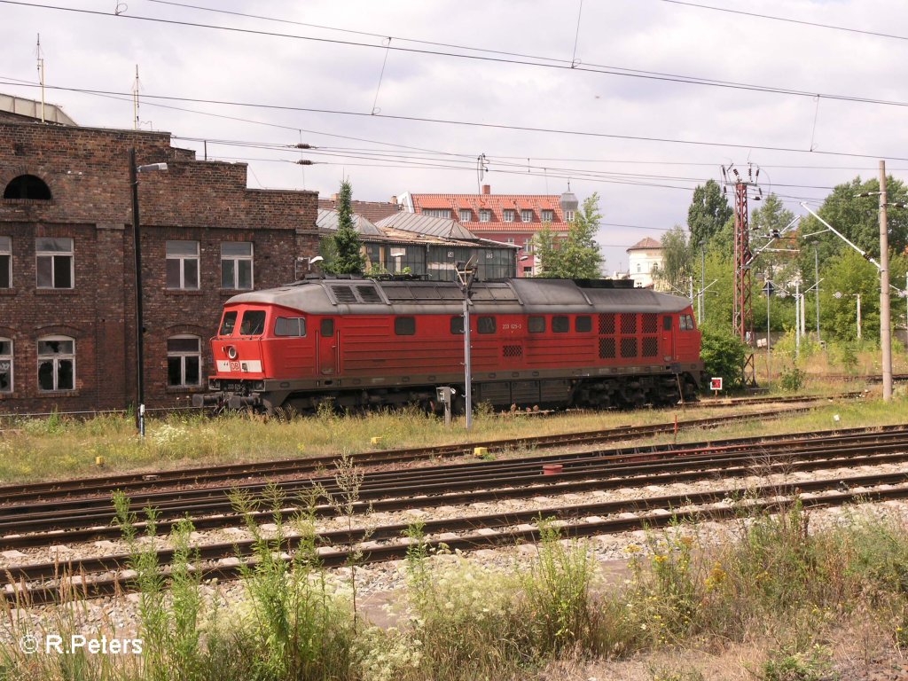 233 625-3 steht in Frankfurt/Oder abgestellt. 15.07.08