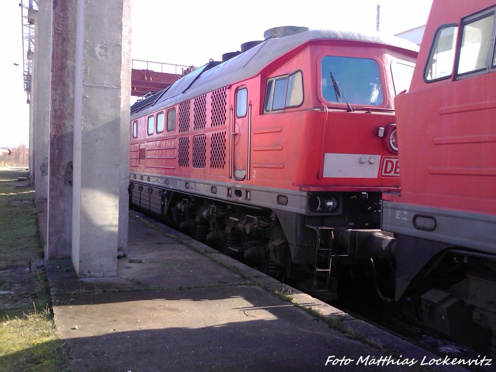 233 689-9 (BW Halle) in Mukran am 4.3.13