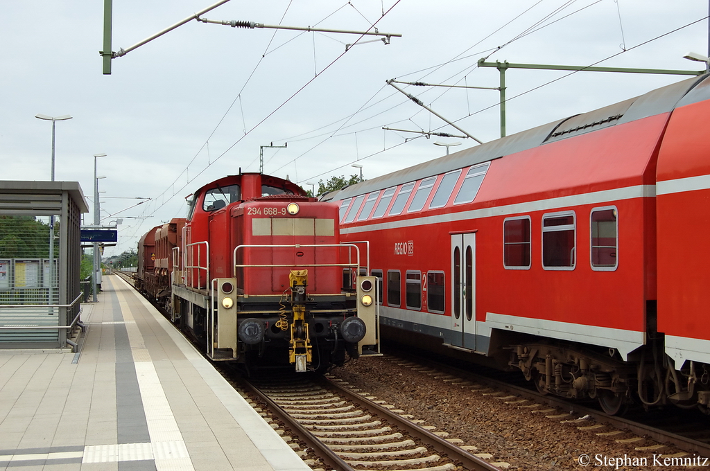 294 668-9 brachte einen kurzen gemischten Gterzug nach Falkenberg(Elster). 11.08.2011