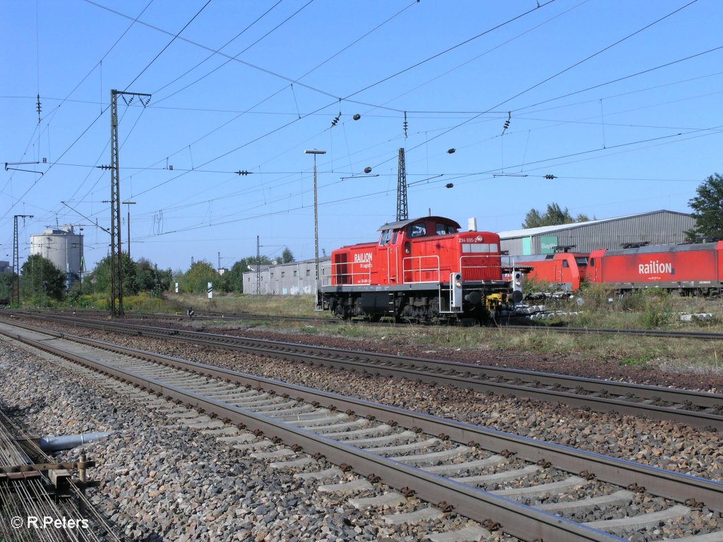 294 695-2 fhrt solo in Regensburg Ost ein. 09.09.09