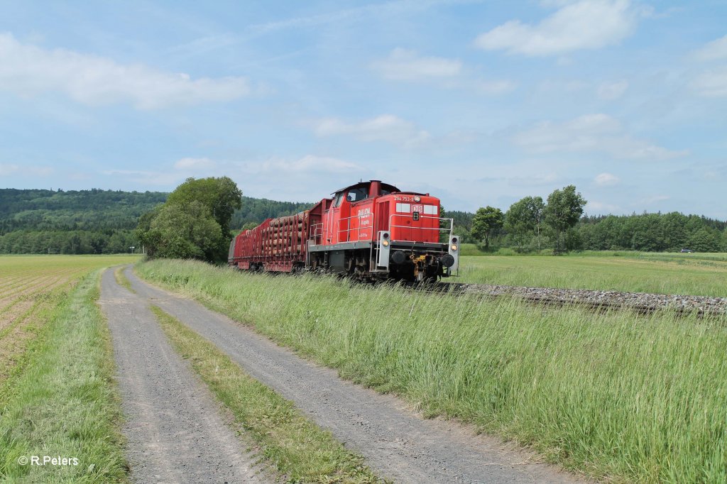 294 753-9 mit der Holzbergabe 56960 Marktredwitz - Wiesau bei Oberteich. 13.06.13