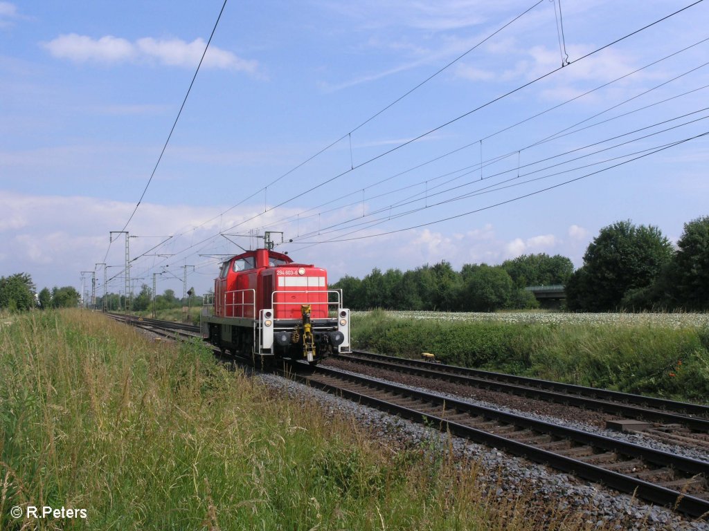 294 803-6 rollt solo kurz vor Obertraubling. 20.06.09